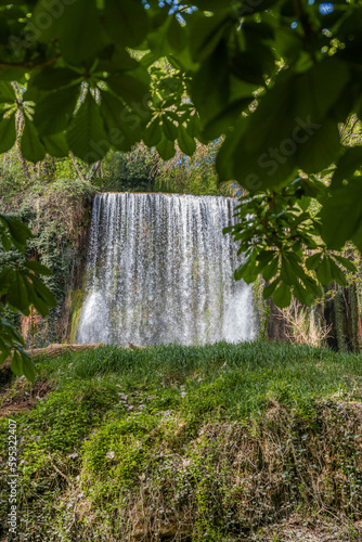 waterfall in the forest