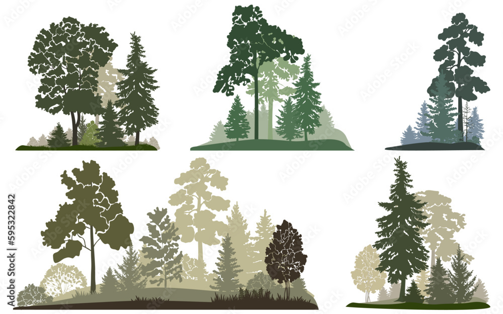 Fototapeta premium Forest landscapes set, vector illustration.