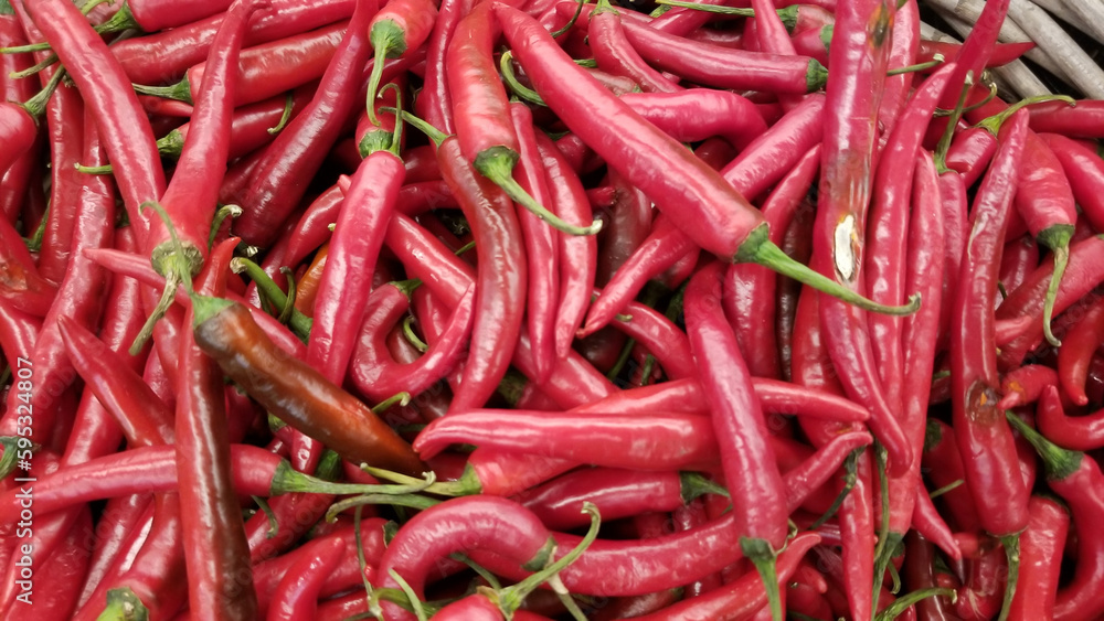 Very fresh red chilies in the super market Very fresh red chilies in the super market