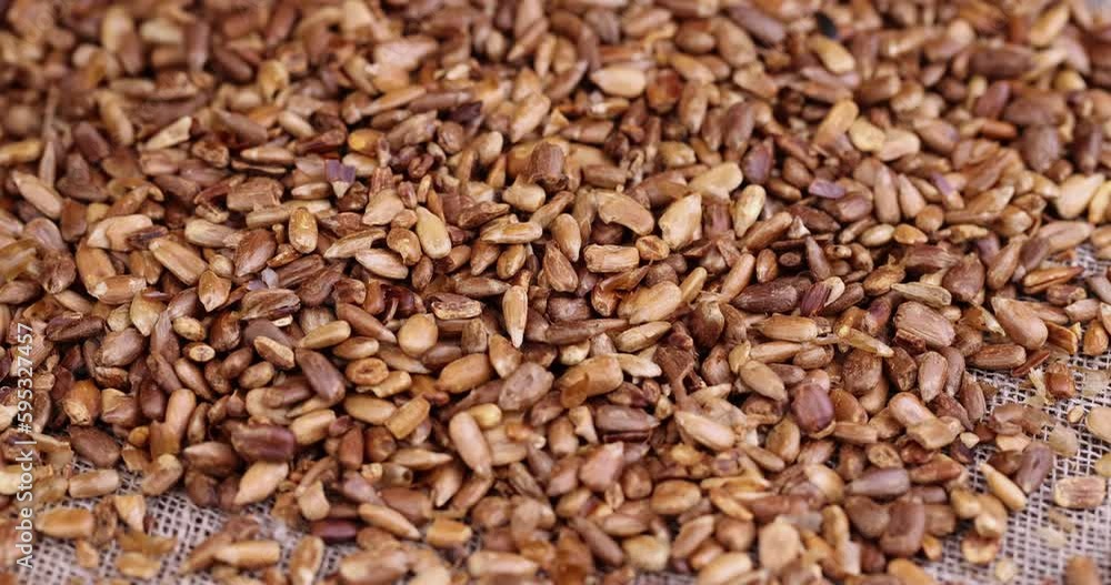 Medium fried sunflower seeds for dessert cooking, preparation of peeled sunflower seeds for cooking Medium fried sunflower seeds for dessert cooking, preparation of peeled sunflower seeds for cooking