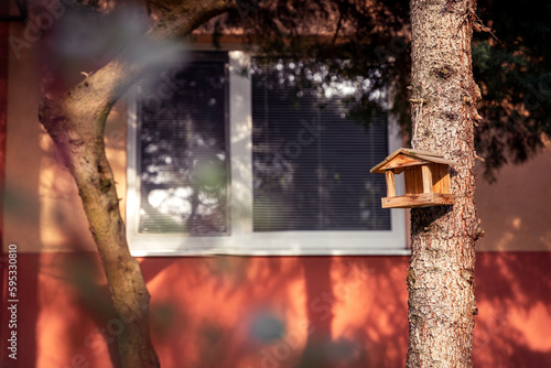 Photography Bird house on a tree, block window in Ružinov, Bratislava