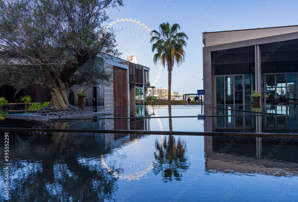Large tree in water feature at JBR Beach Dubai with Observation Wheel behind Large tree in water feature at JBR Beach Dubai with Observation Wheel behind