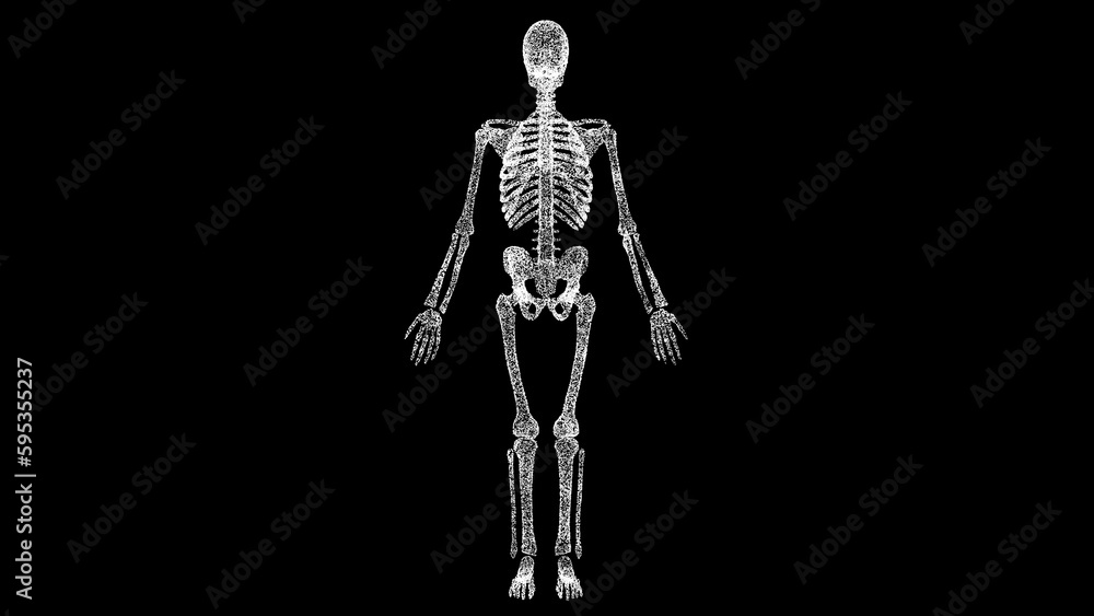 3D skeleton on black bg. Object dissolved white flickering particles. Business advertising backdrop. Science medical concept. For title, text, presentation. 3D animation. 3D skeleton on black bg. Object dissolved white flickering particles. Business advertising backdrop. Science medical concept. For title, text, presentation. 3D animation.