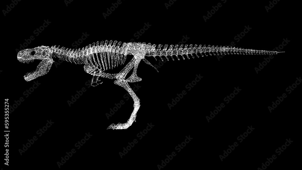 3D Tyrannosaurus rex skeleton on black bg. Object dissolved white ...