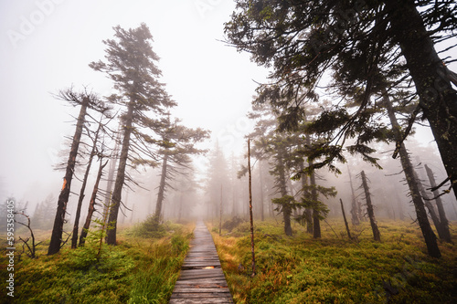 Mountain landscape in Jeseniky, view of the mountain range from the hiking trail on the top of small Jezernik from cernohorske saddle. A pathway for hikers through bog photo