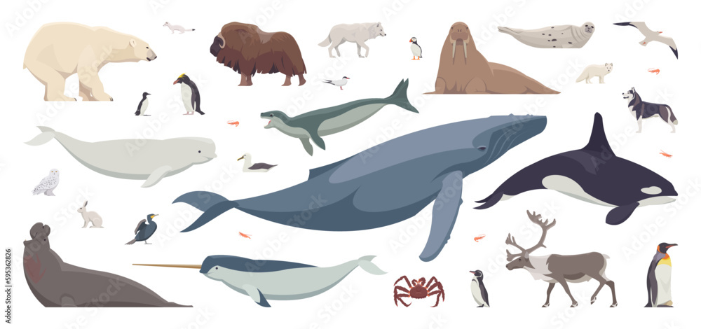 Flat set of arctic animals. Isolated polar animals on white background. Vector illustration Flat set of arctic animals. Isolated polar animals on white background. Vector illustration