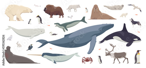 Obraz na plátne Flat set of arctic animals