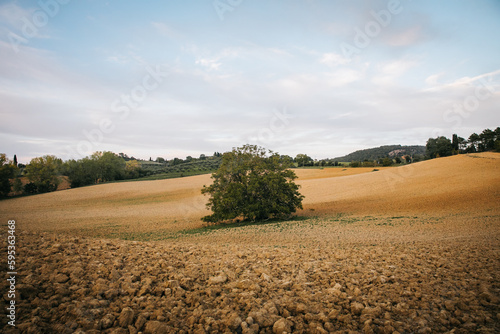 Beautiful and colorful orange sunset in Tuscany, Italy fields