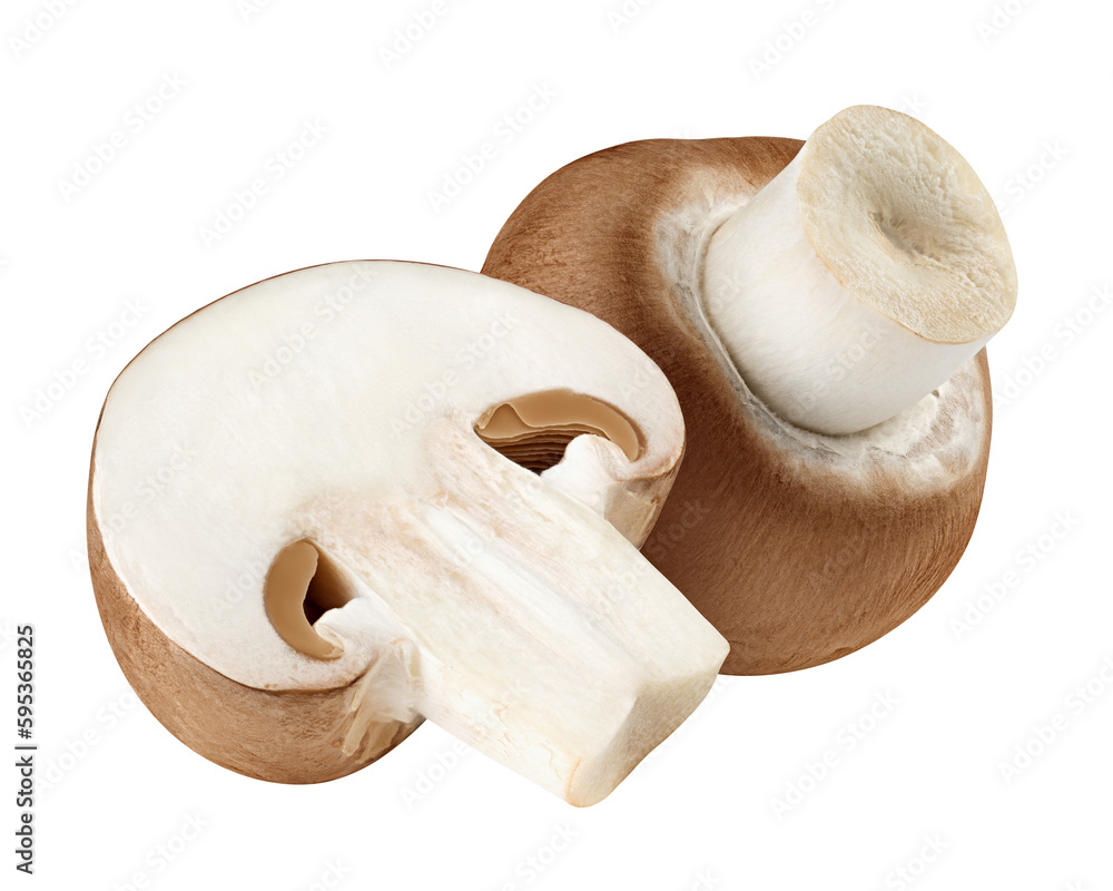 Fototapeta premium champignon, mushroom, isolated on white background, full depth of field