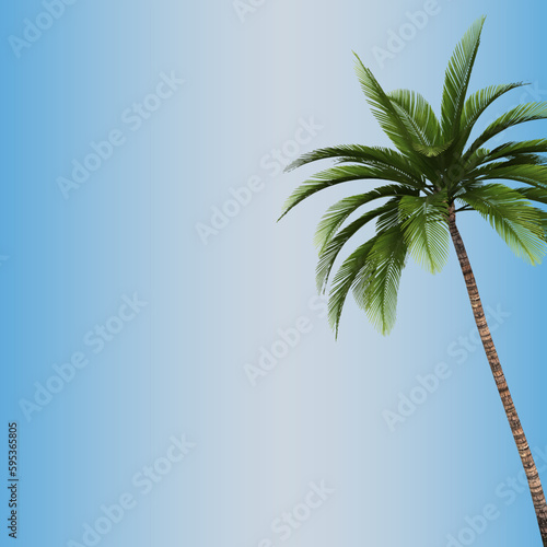 Green tropical palm leaves on a blue background. A simple beautiful summer concept	