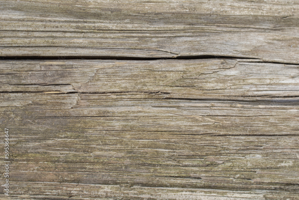Nature wood textured wallpaper background Nature wood textured wallpaper background