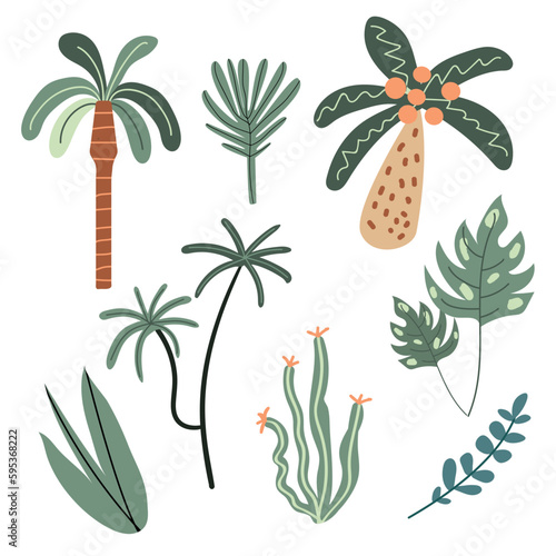 Vector set of tropical plants. Cute jungle plants. Palms, cacti, leaves. White isolated background. Hand drawn style.