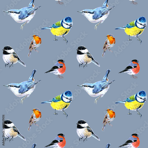 Seamless pattern of birds drawn with markers. Tits  nuthatch  bullfinch  robin and chickadees. On a blue grey background. For fabric  sketchbook  wallpaper  wrapping paper.