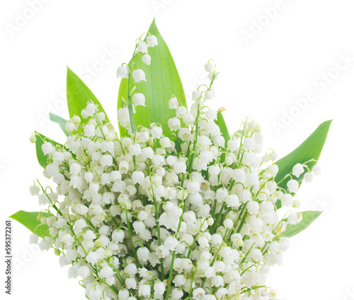 Fotografia lilly of the valley posy