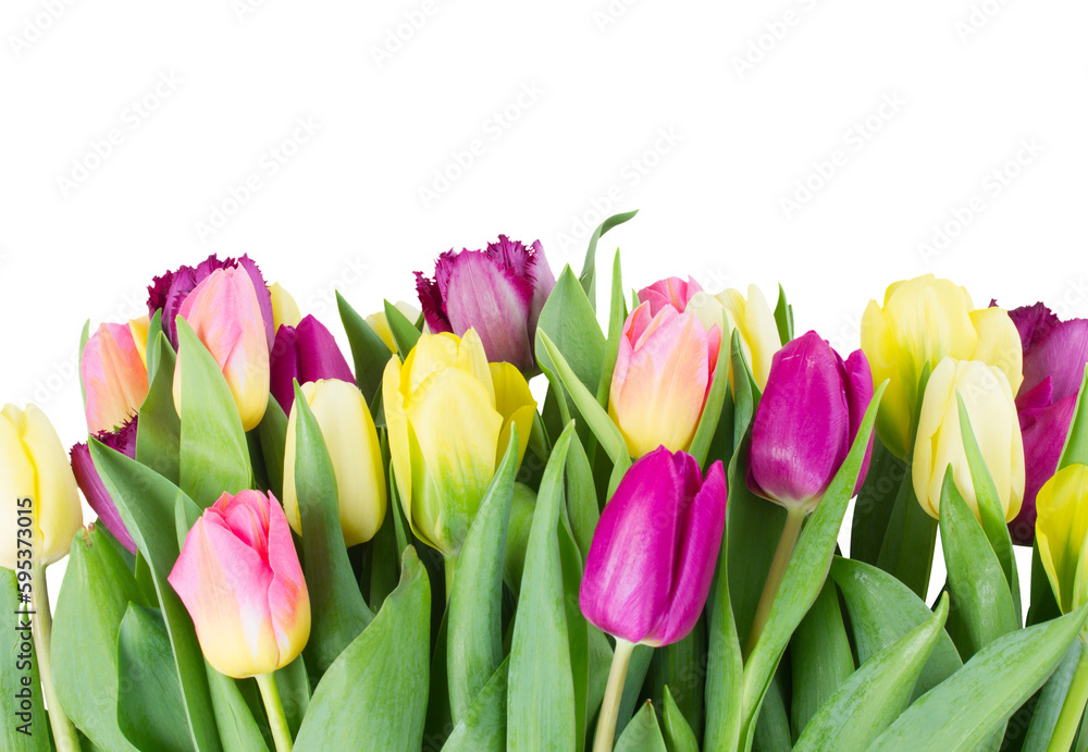 Obraz premium bouquet of yellow and purple tulip flowers