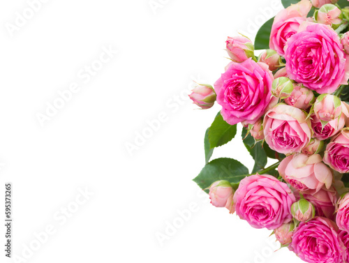 border of  fresh pink roses close up © neirfy