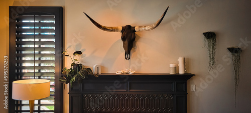 Skull Interior Design CenterPiece in Home