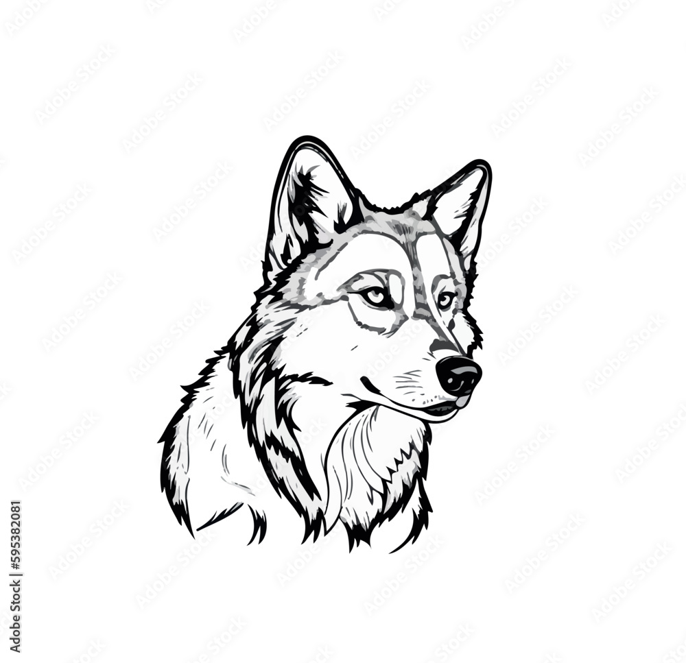 Contour portrait of a guard dog on a white background. Vector illustration