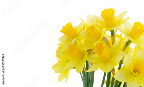 Fototapeta Naklejka Na Ścianę i Meble -  bouquet of daffodils flowers