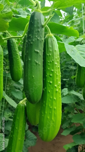Green cucumbers. Illustration AI Generative.