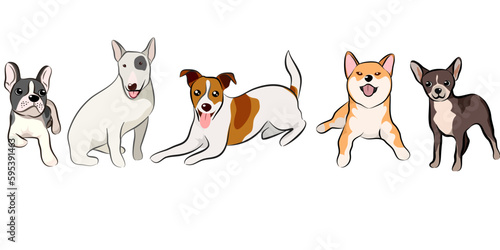 Dogs collection, Vector illustration of funny cartoon different breeds dogs in trendy flat style. Isolated on white.