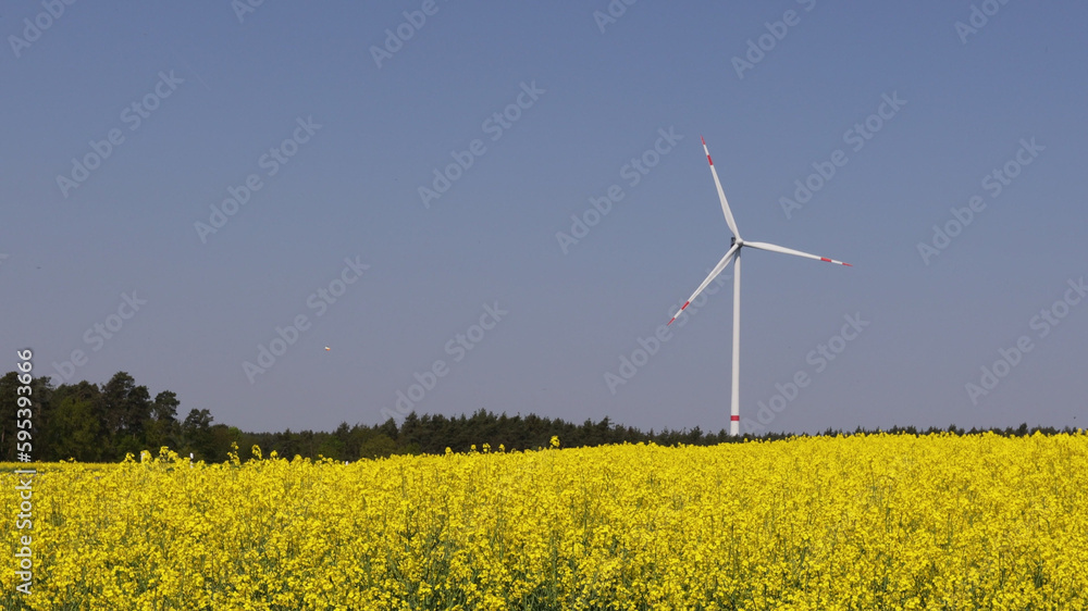 a summer landscape against the backdrop of windmills a summer landscape against the backdrop of windmills
