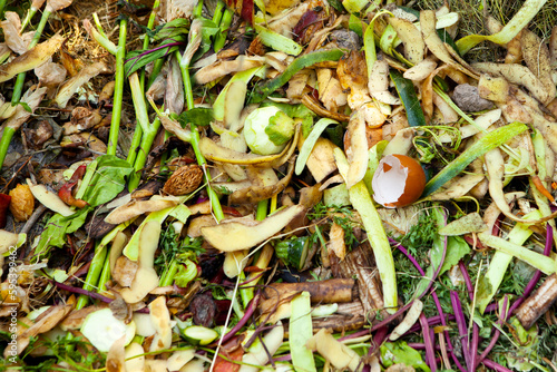 Pile of organic waste for composting as a background, close-up. Food waste recycling, natural fertilizer, recycled waste. The concept of environmental protection.