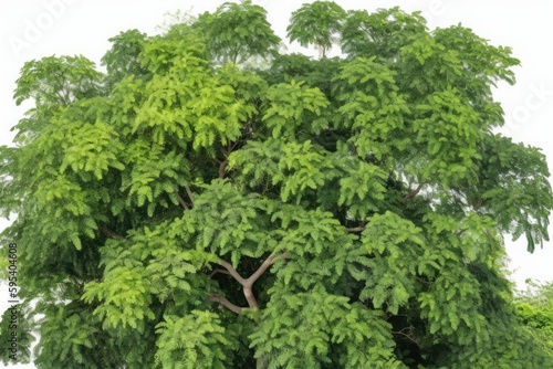 Majestic Green Tree with Lush Foliage. Generative AI