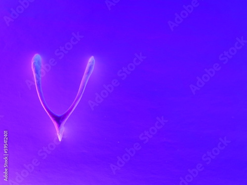 Canvastavla Neon vivid wishbone