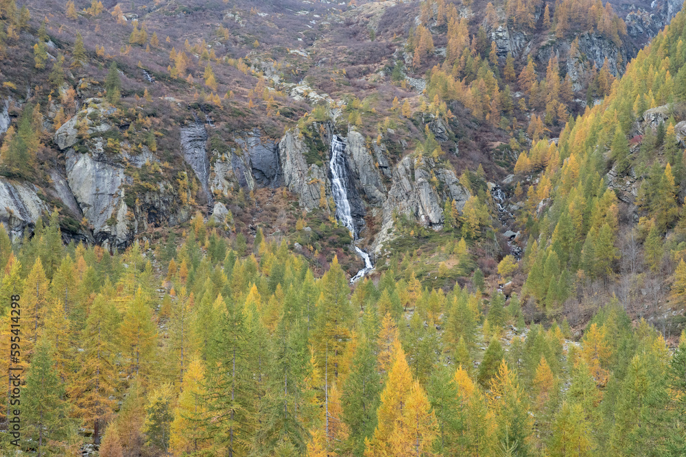 mountain forest in the valley, yellow orange colored trees and waterfall over a rocky cliff in autumn