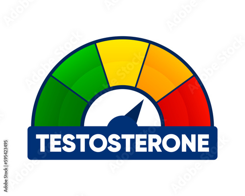 Meter of testosterone. Hormone level measuring scale. Molecular chemical formula of sex hormone. Male sex hormone. Vector illustration.