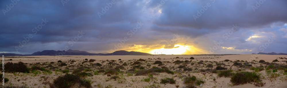 View on white sandy dunes near Corallejo beach at winter, Fuerteventura, Canary islands, Spain View on white sandy dunes near Corallejo beach at winter, Fuerteventura, Canary islands, Spain