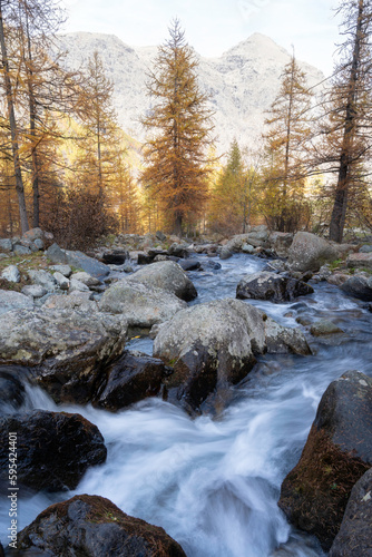 Vertical shot of mountain river in the forest in autumn, long exposure water flowing over rocks and colored trees