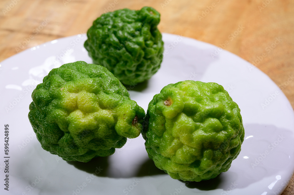 kaffir lime or makrut lime, citrus fruit native to tropical Southeast Asia. Fruit and leaves used in Southeast Asian cuisine, essential oil is used in perfumery for intense citrus fragrance. kaffir lime or makrut lime, citrus fruit native to tropical Southeast Asia. Fruit and leaves used in Southeast Asian cuisine, essential oil is used in perfumery for intense citrus fragrance.