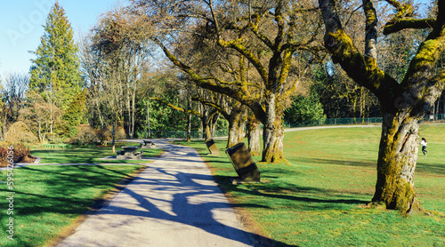 Photos Mossy trees in Burnaby Mountain Park, BC, at the cusp of Spring.