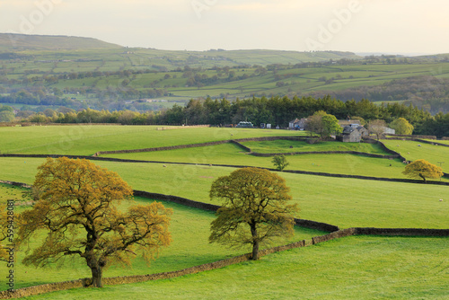 England, North Yorkshire, Wharfedale, countryside.