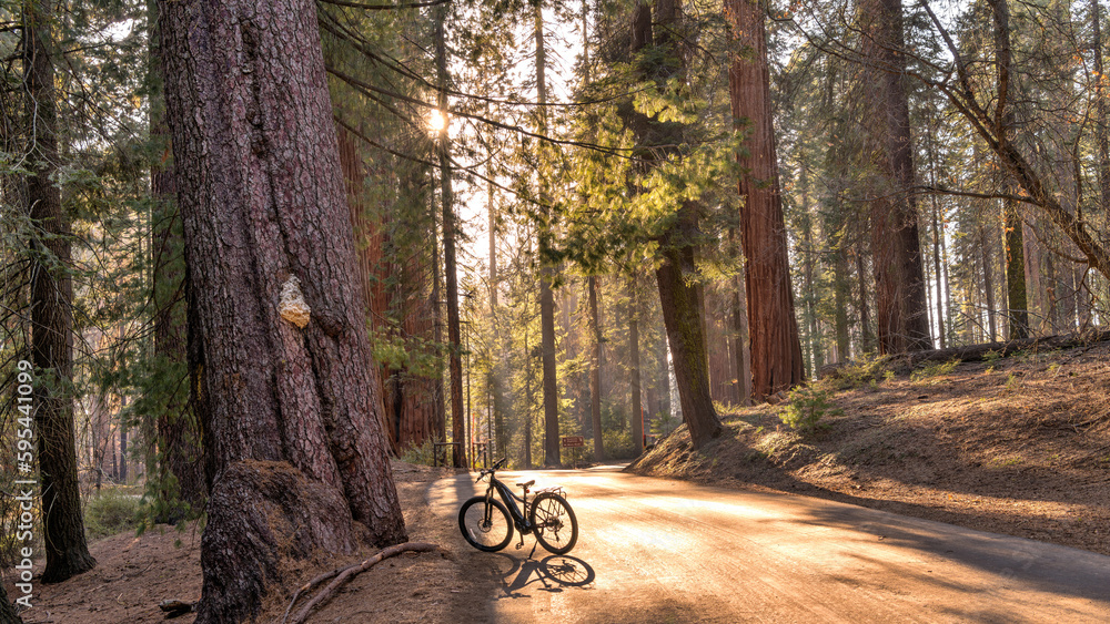 Sequoia national park mountain biking sale