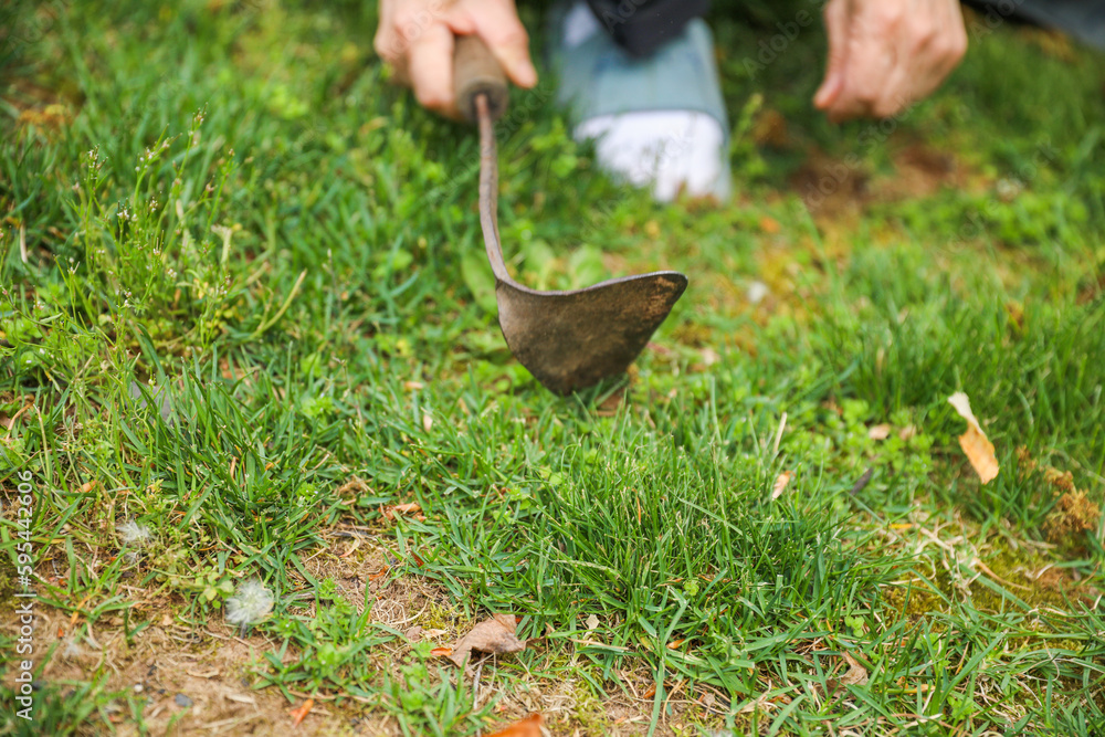 Gardening tools like trowels, spades, and shovels are essential for