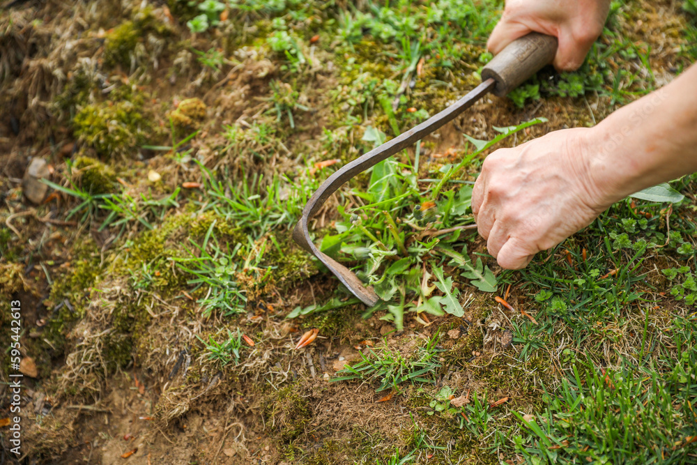 Gardening tools like trowels, spades, and shovels are essential for