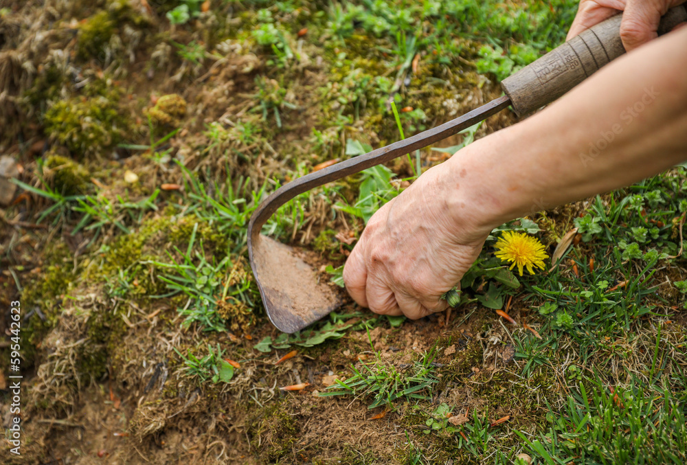 Gardening tools like trowels, spades, and shovels are essential for