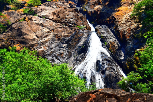 waterfall in the forest