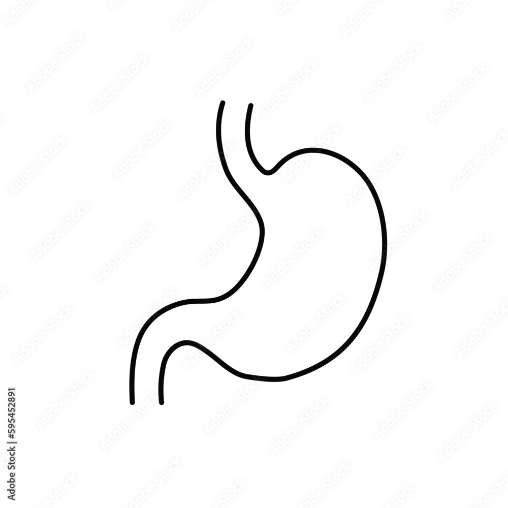 Stomach line icon, outline vector sign, linear style pictogram isolated on white. Symbol, logo illustration. Stomach line icon, outline vector sign, linear style pictogram isolated on white. Symbol, logo illustration.
