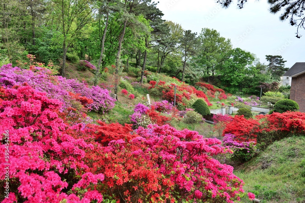 뜰, flower, flower, 네이처, 공원, 봄, 경로, 나무, 식물, 경관, 블로섬, 여름, 개화, 목초, 분홍, 나무, 식물, red, h2o, 원예, 잔디, 덤불, 식물, 조경 뜰, flower, flower, 네이처, 공원, 봄, 경로, 나무, 식물, 경관, 블로섬, 여름, 개화, 목초, 분홍, 나무, 식물, red, h2o, 원예, 잔디, 덤불, 식물, 조경