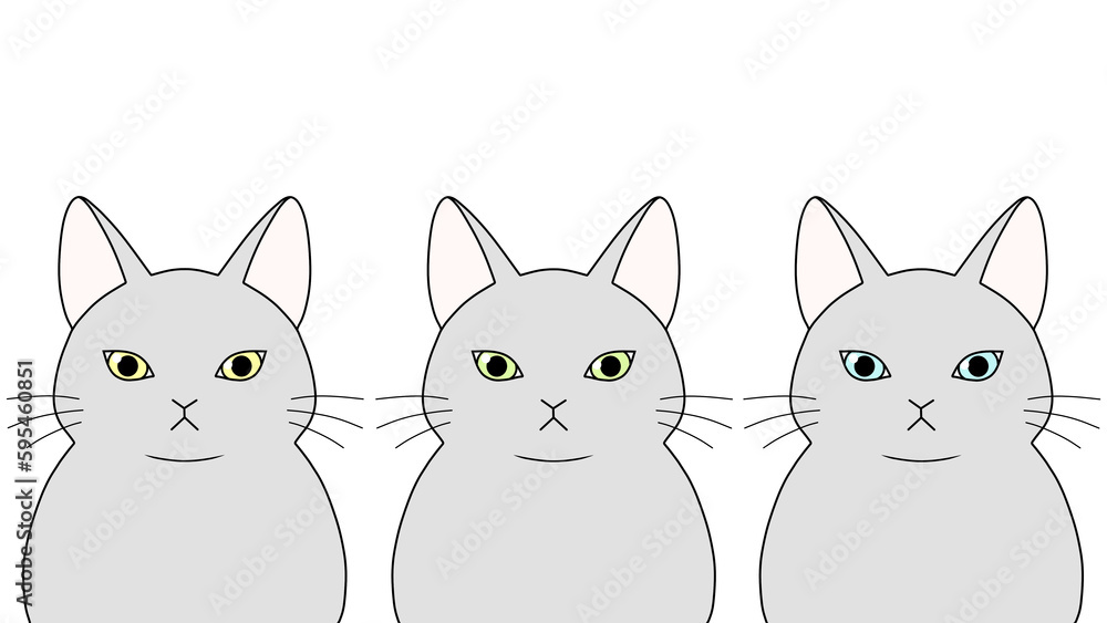 Fototapeta premium 正面を向いた３匹の灰色の猫