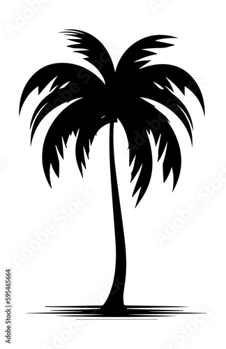 palm tree silhouette