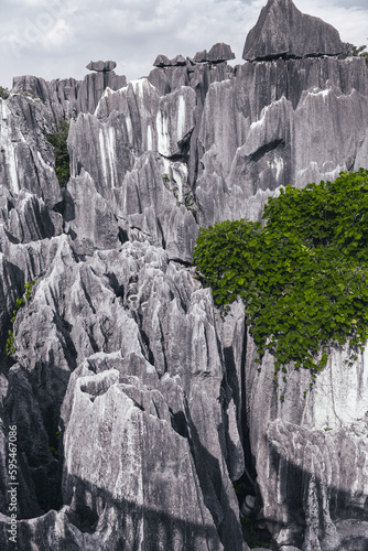 Shilin Stone forest in Kunming, China. UNESCO World Heritage site, vertical background image 