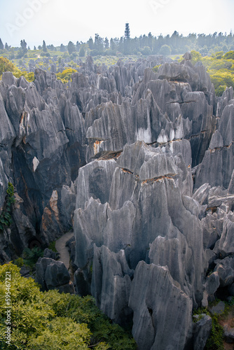 Stone forest Shi Lin. National park in Yunnan province, China, Vertical image, background, texture