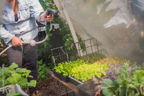 Rooftop urban farming and gardening photo