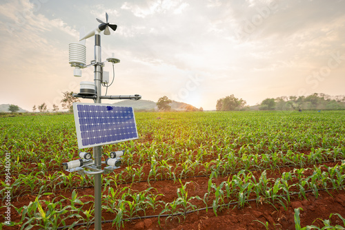 Weather station in corn field, 5G technology with smart farming concept