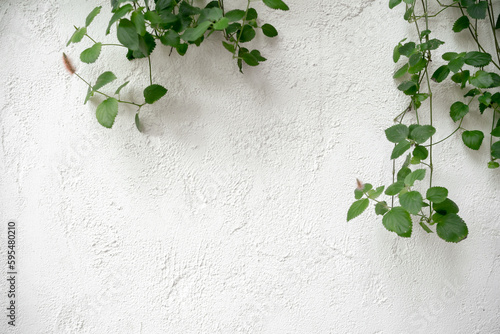 White cement textured wall concrete stone background on plants. White textured wall background